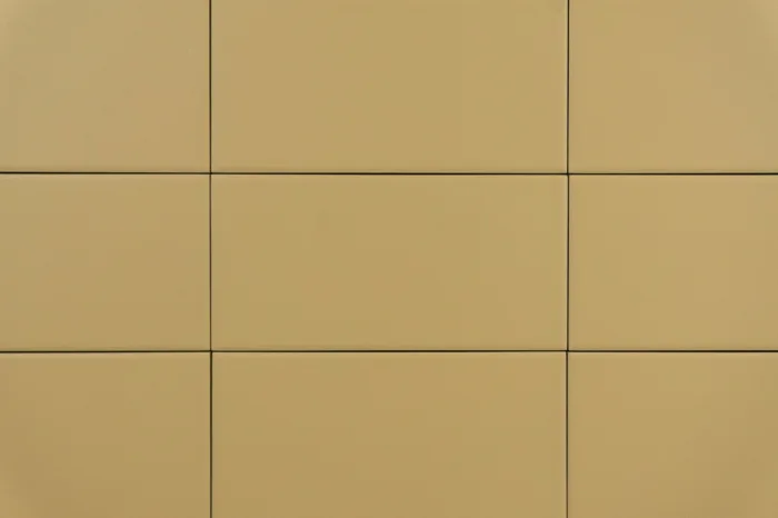 Wand-/ Bodenfliese Mojave 10x20