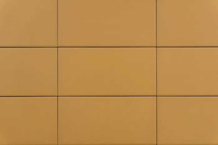Wand-/ Bodenfliese Pollen 10x20